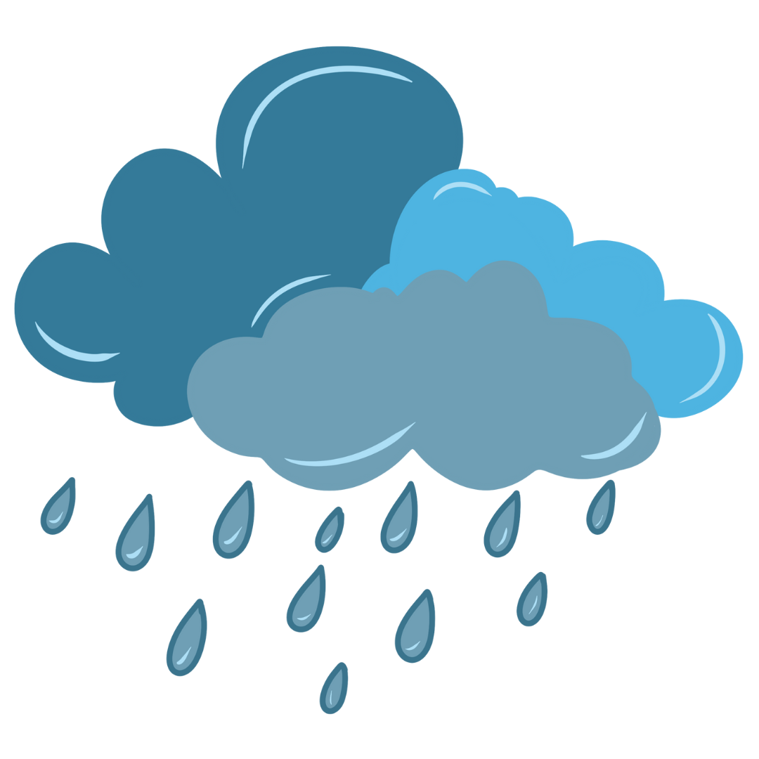 Daily rainfall